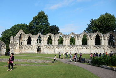 Museum Gardens